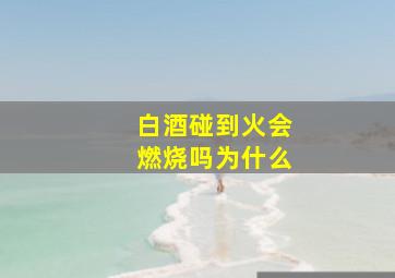 白酒碰到火会燃烧吗为什么