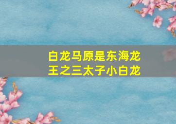 白龙马原是东海龙王之三太子小白龙