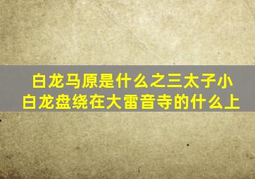 白龙马原是什么之三太子小白龙盘绕在大雷音寺的什么上