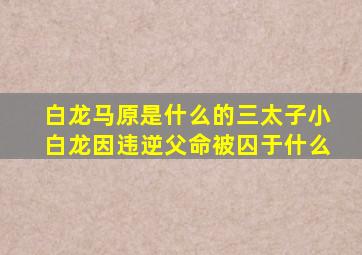 白龙马原是什么的三太子小白龙因违逆父命被囚于什么