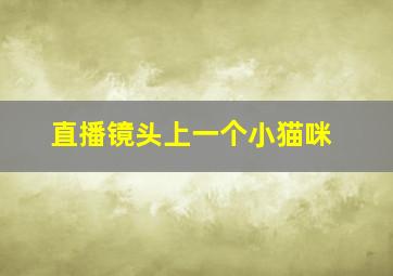 直播镜头上一个小猫咪