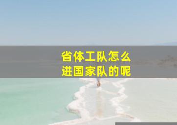 省体工队怎么进国家队的呢