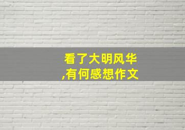 看了大明风华,有何感想作文