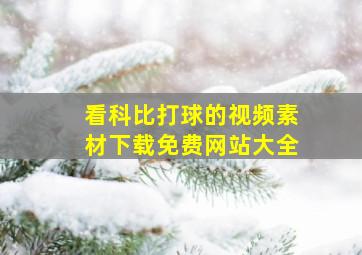 看科比打球的视频素材下载免费网站大全