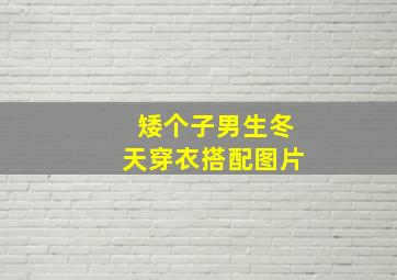 矮个子男生冬天穿衣搭配图片