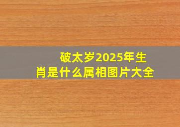 破太岁2025年生肖是什么属相图片大全