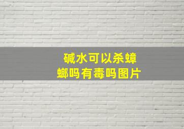 碱水可以杀蟑螂吗有毒吗图片