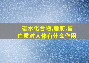 碳水化合物,脂肪,蛋白质对人体有什么作用