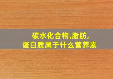 碳水化合物,脂肪,蛋白质属于什么营养素