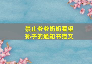 禁止爷爷奶奶看望孙子的通知书范文