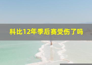 科比12年季后赛受伤了吗