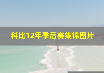 科比12年季后赛集锦图片