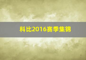 科比2016赛季集锦