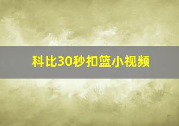 科比30秒扣篮小视频