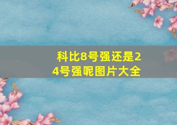 科比8号强还是24号强呢图片大全