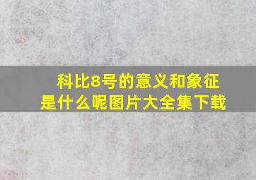 科比8号的意义和象征是什么呢图片大全集下载