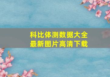 科比体测数据大全最新图片高清下载