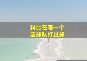 科比在哪一个篮球队打过球