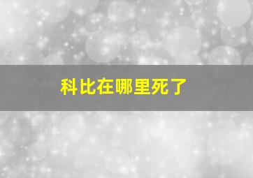 科比在哪里死了