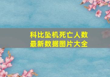 科比坠机死亡人数最新数据图片大全