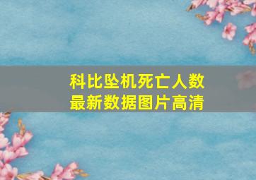 科比坠机死亡人数最新数据图片高清