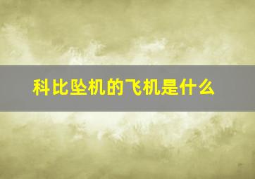 科比坠机的飞机是什么