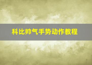 科比帅气手势动作教程