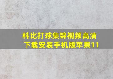 科比打球集锦视频高清下载安装手机版苹果11