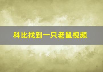 科比找到一只老鼠视频