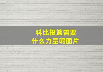 科比投篮需要什么力量呢图片