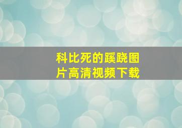 科比死的蹊跷图片高清视频下载