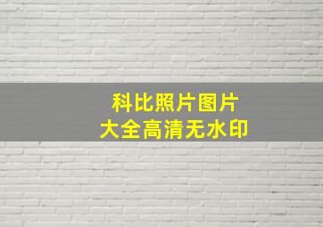 科比照片图片大全高清无水印