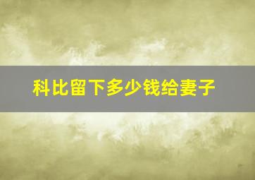 科比留下多少钱给妻子