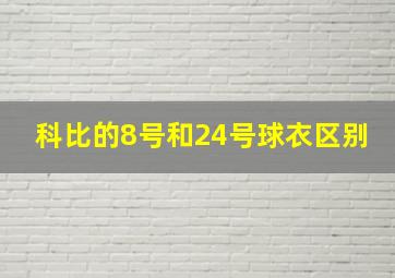 科比的8号和24号球衣区别