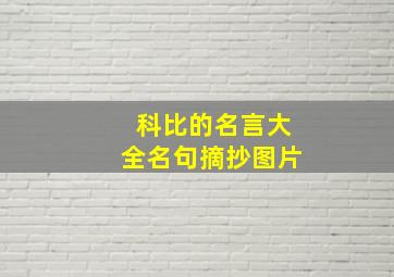 科比的名言大全名句摘抄图片