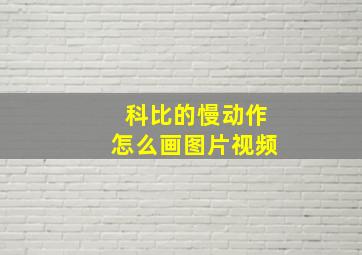 科比的慢动作怎么画图片视频