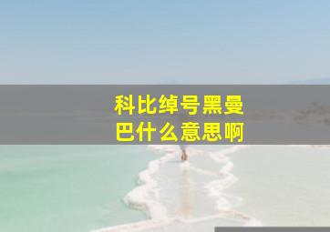 科比绰号黑曼巴什么意思啊