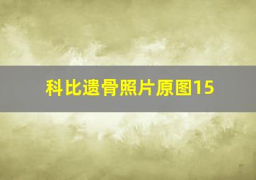 科比遗骨照片原图15