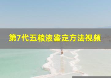 第7代五粮液鉴定方法视频