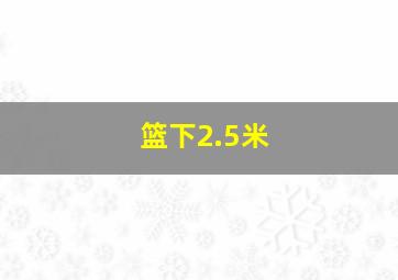 篮下2.5米