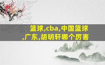 篮球,cba,中国篮球,广东,胡明轩哪个厉害