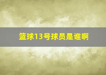 篮球13号球员是谁啊