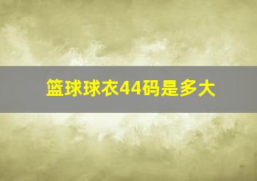 篮球球衣44码是多大