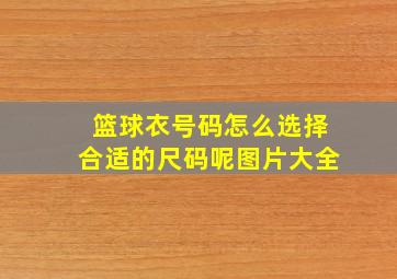 篮球衣号码怎么选择合适的尺码呢图片大全