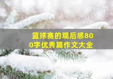 篮球赛的观后感800字优秀篇作文大全