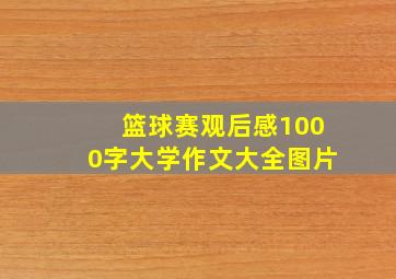 篮球赛观后感1000字大学作文大全图片