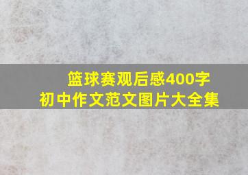 篮球赛观后感400字初中作文范文图片大全集