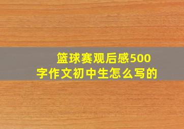 篮球赛观后感500字作文初中生怎么写的