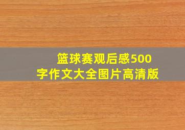 篮球赛观后感500字作文大全图片高清版