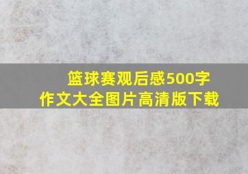 篮球赛观后感500字作文大全图片高清版下载